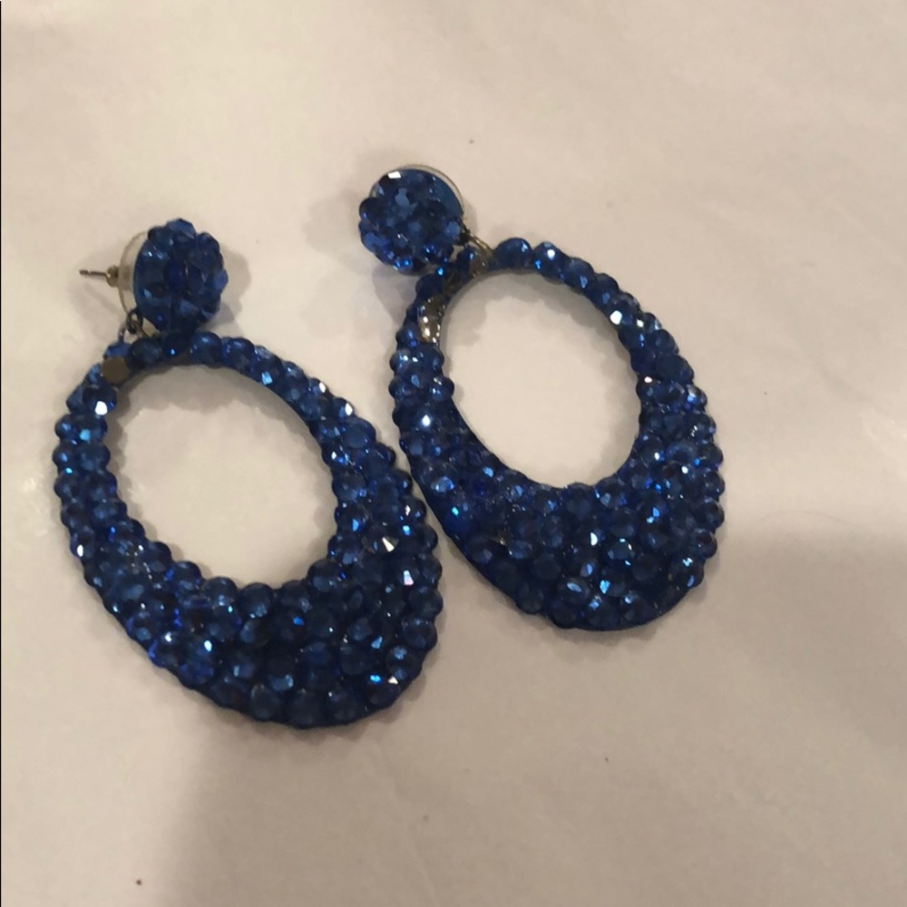 Lightweight Coleoptera blue earrings